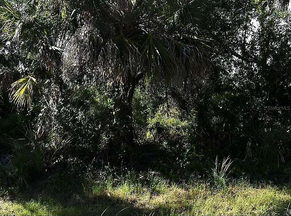 0.46 Acres of Residential Land for Sale in North Port, Florida