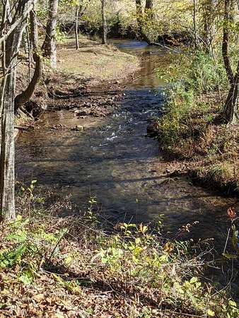 4 Acres of Residential Land for Sale in Ellijay, Georgia