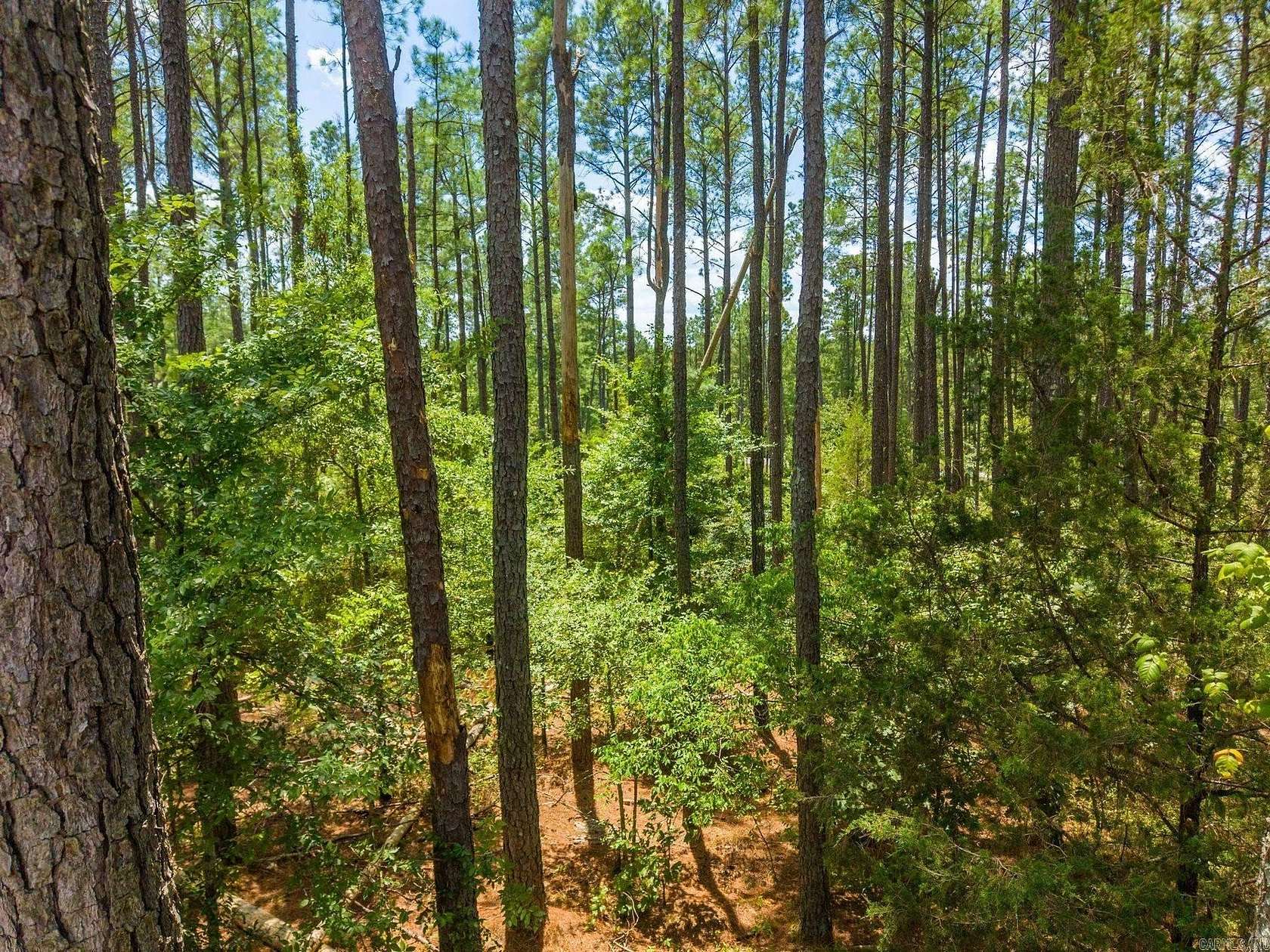 0.33 Acres of Residential Land for Sale in Hot Springs Village, Arkansas