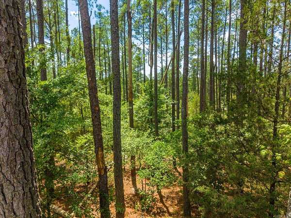 0.33 Acres of Residential Land for Sale in Hot Springs Village, Arkansas