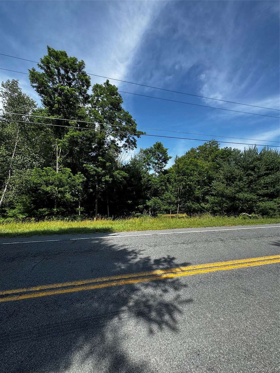 5 Acres of Residential Land for Sale in Fallsburg, New York