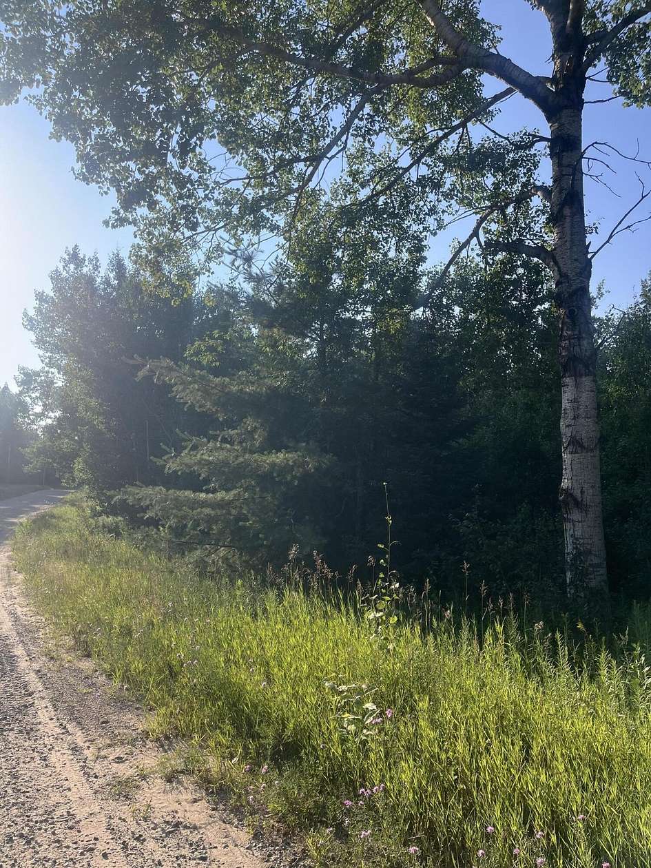 0.59 Acres of Residential Land for Sale in Elmira, Michigan