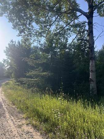 0.59 Acres of Residential Land for Sale in Elmira, Michigan