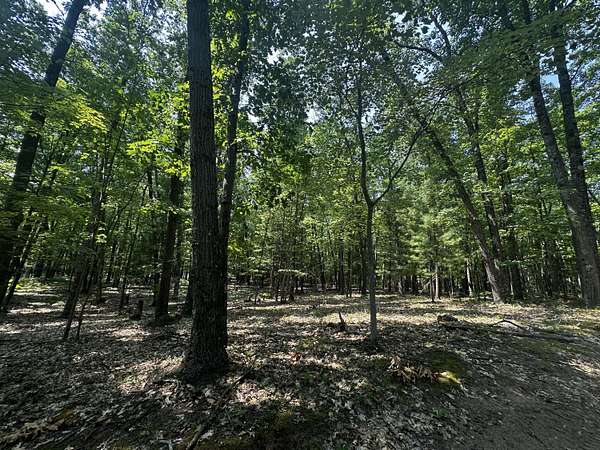 10 Acres of Land for Sale in Irons, Michigan