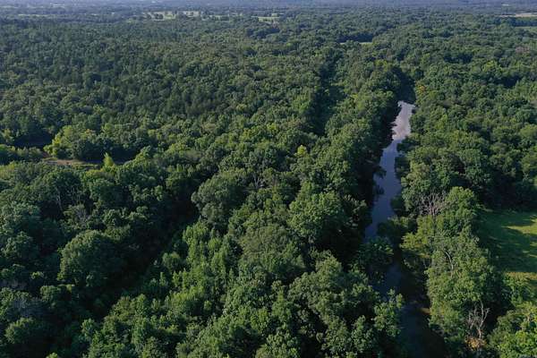 220 Acres of Recreational Land for Sale in Booneville, Arkansas