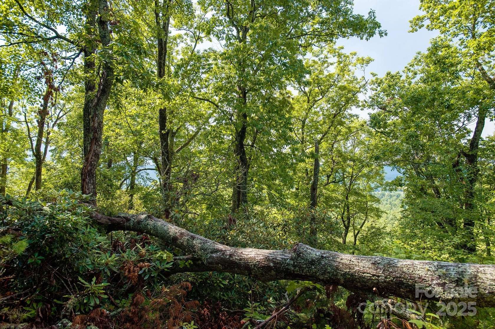 2 Acres of Residential Land for Sale in Hendersonville, North Carolina