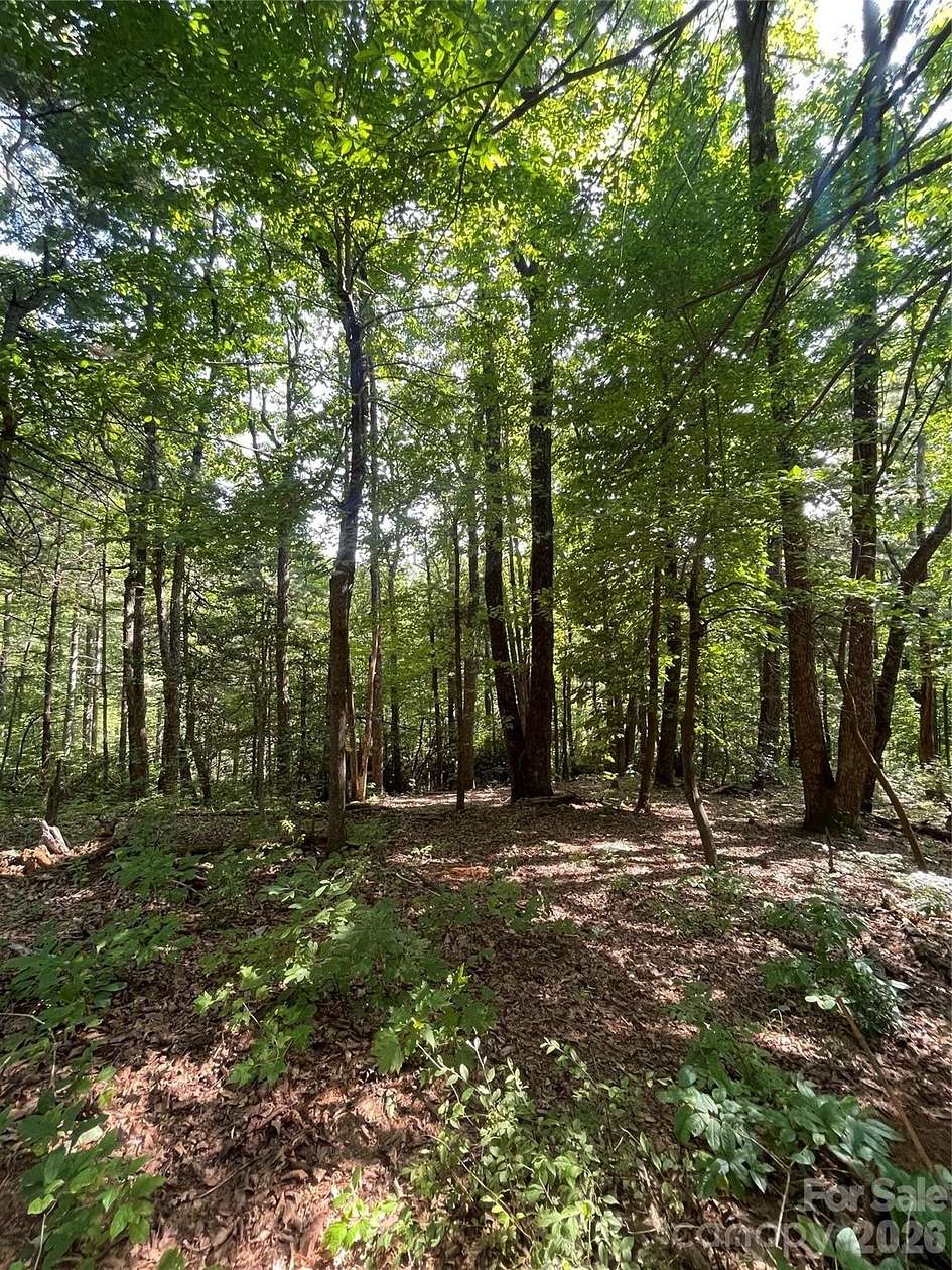 1 Acre of Residential Land for Sale in Flat Rock, North Carolina