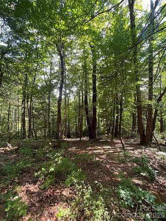 1 Acre of Residential Land for Sale in Flat Rock, North Carolina