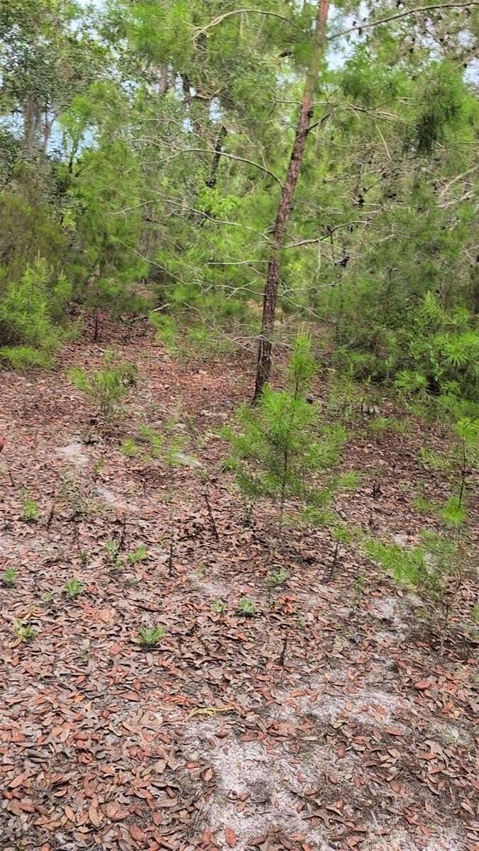0.22 Acres of Residential Land for Sale in Interlachen, Florida