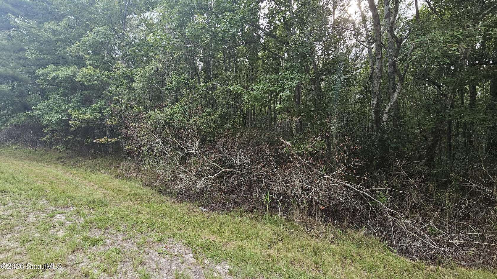 2.77 Acres of Land for Sale in Townsend, Georgia