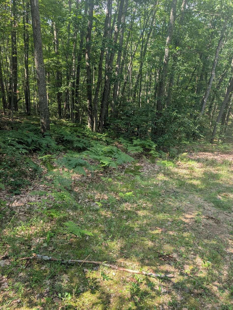 0.29 Acres of Residential Land for Sale in Roscommon, Michigan