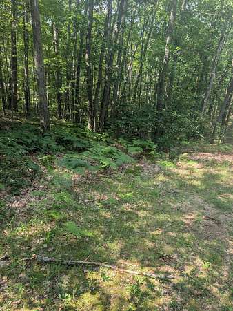 0.29 Acres of Residential Land for Sale in Roscommon, Michigan