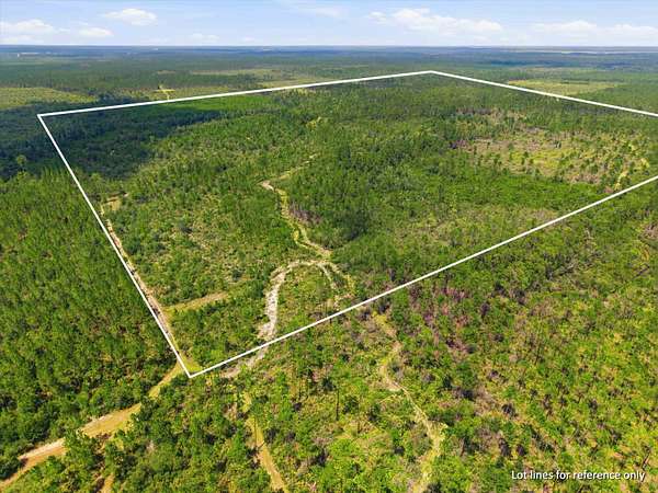 160 Acres of Recreational Land for Sale in Youngstown, Florida