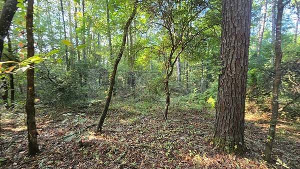 4.5 Acres of Land for Sale in Gloster, Mississippi