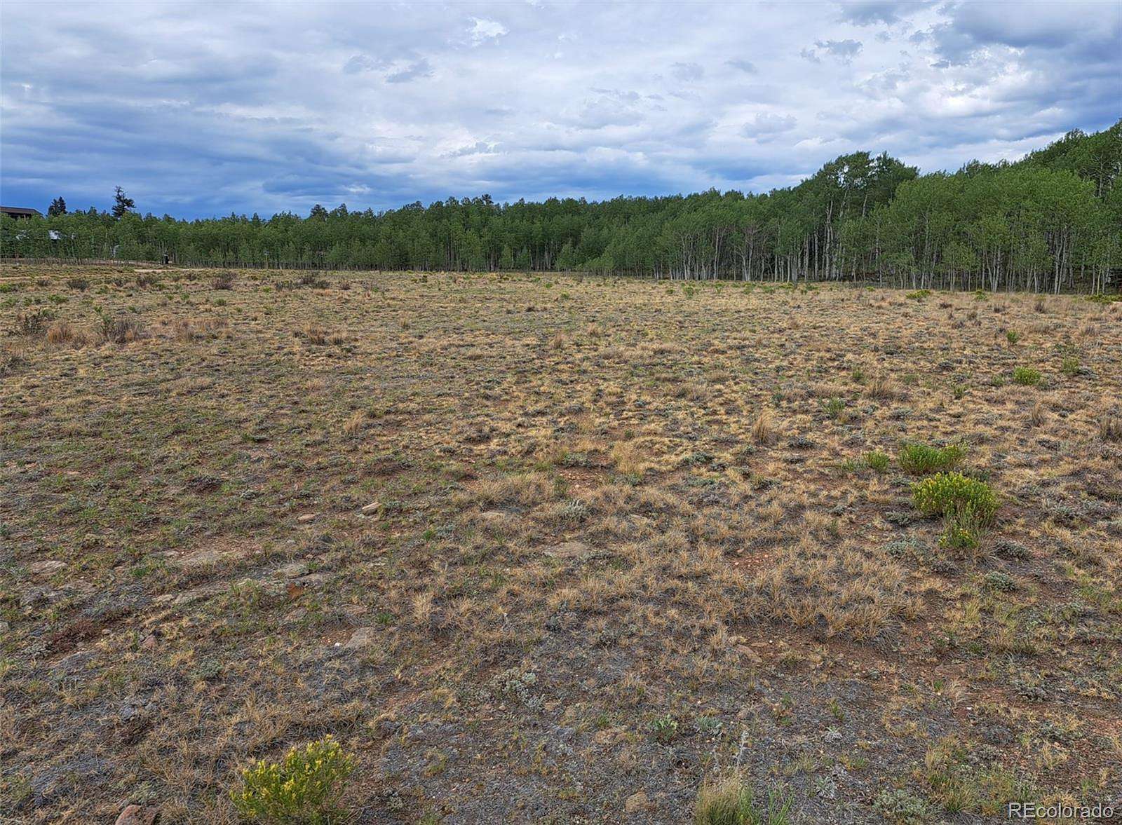 1 Acre of Residential Land for Sale in Jefferson, Colorado