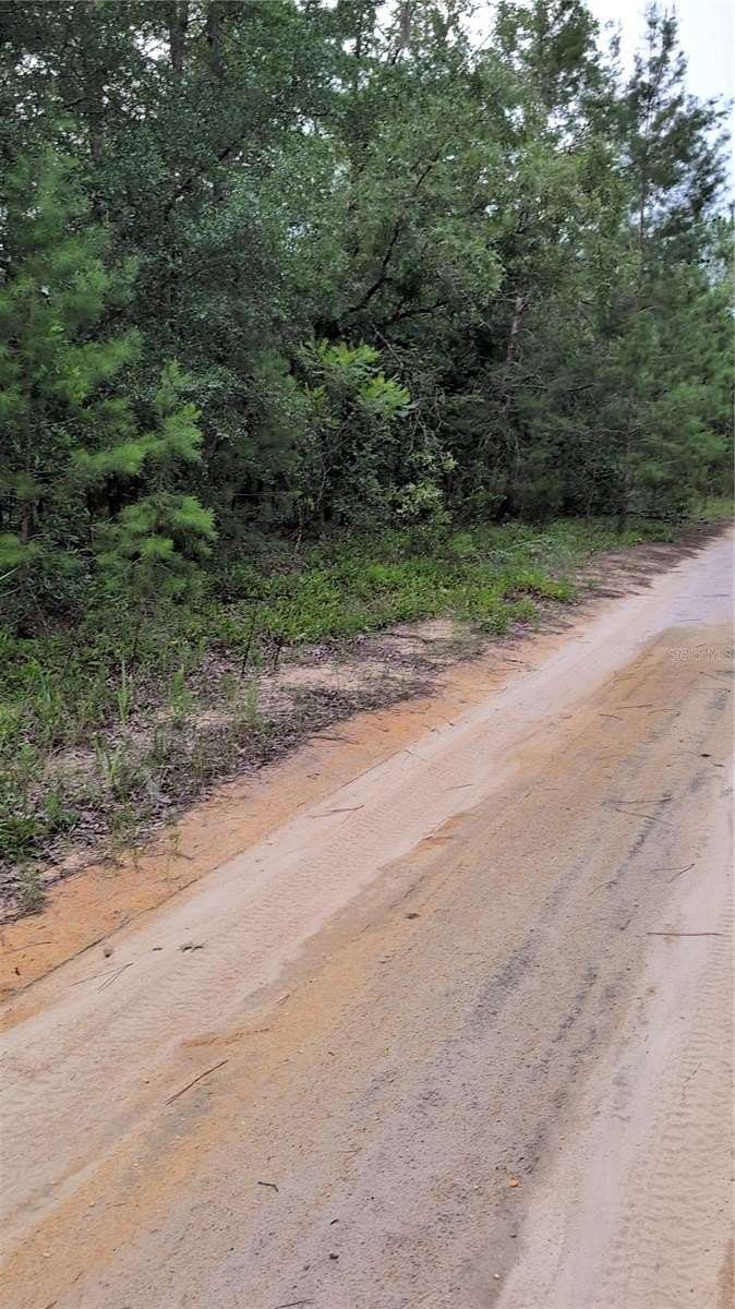 0.2 Acres of Residential Land for Sale in Interlachen, Florida