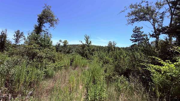 27.2 Acres of Recreational & Residential Land for Sale in Winona, Texas