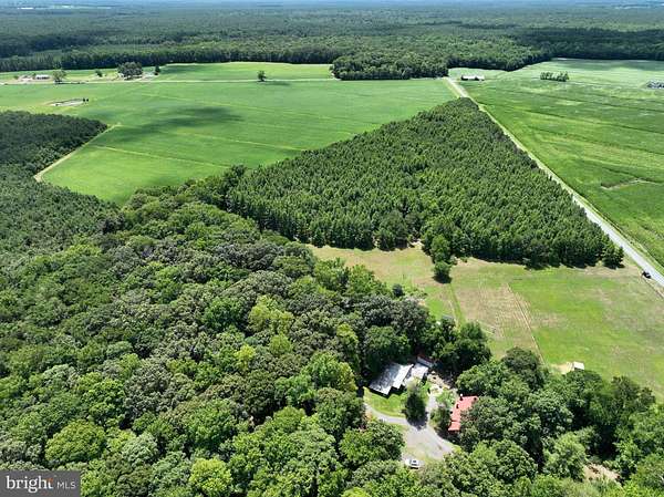6.74 Acres of Residential Land for Sale in Frankford, Delaware