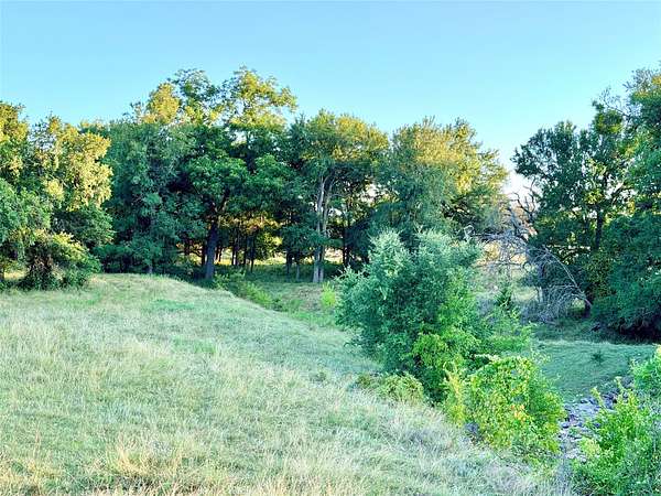 43.3 Acres of Recreational & Residential Land for Sale in Goldthwaite, Texas