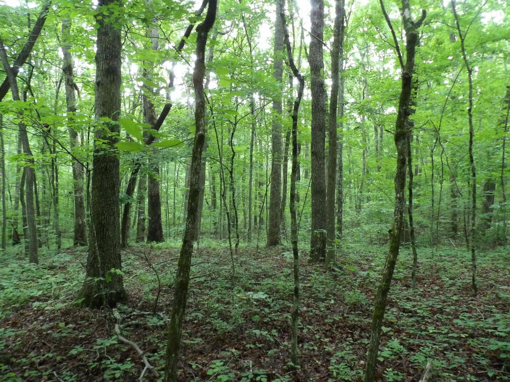 0.91 Acres of Land for Sale in Crossville, Tennessee