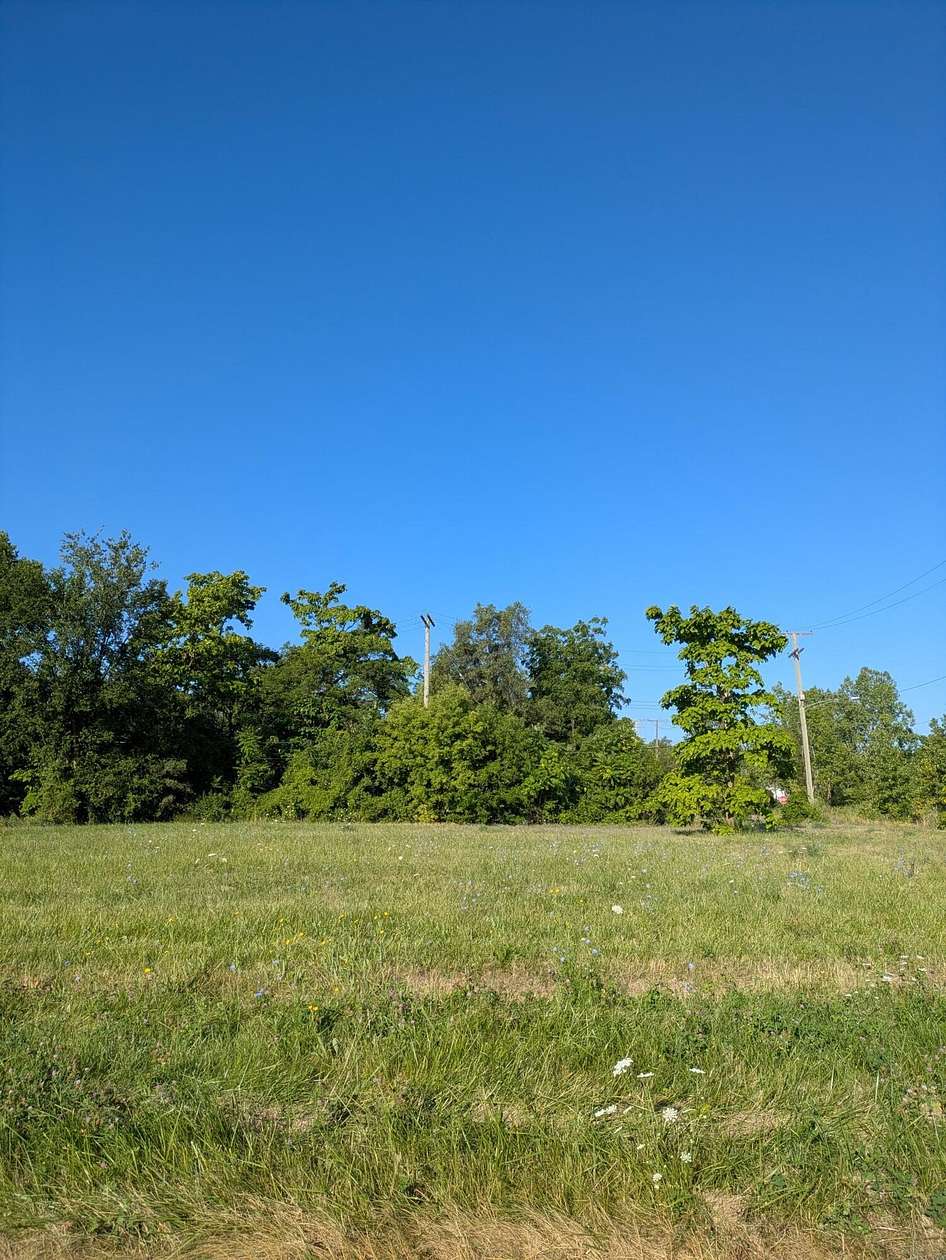 0.07 Acres of Residential Land for Sale in Detroit, Michigan