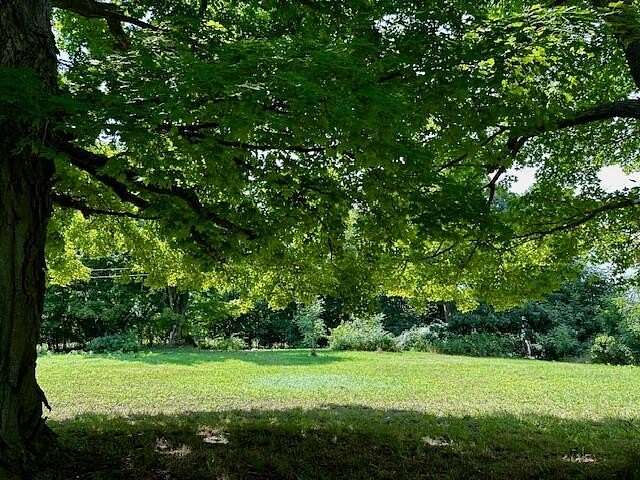 1 Acre of Residential Land for Sale in Hesperia, Michigan