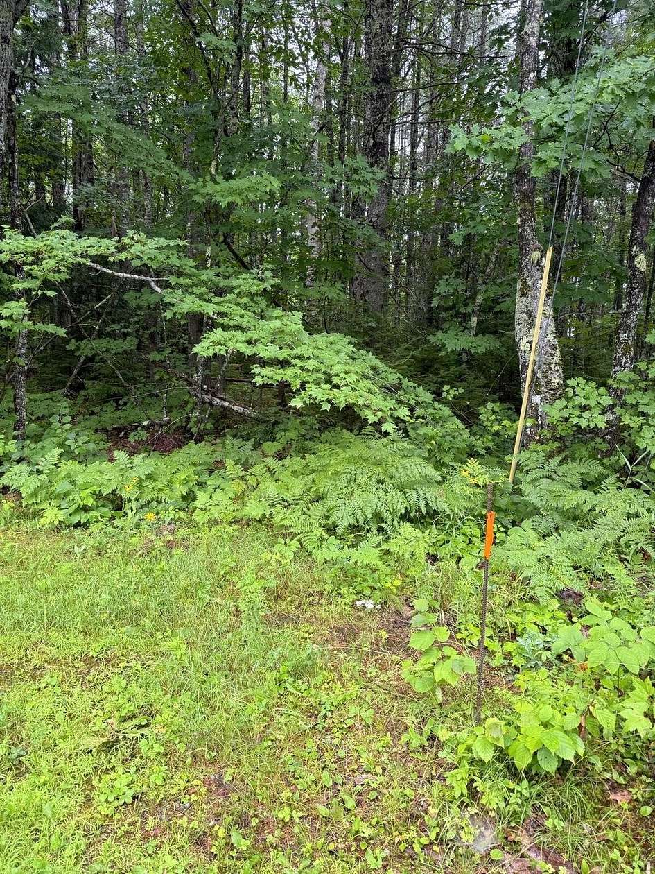 2 Acres of Residential Land for Sale in Chesterville, Maine