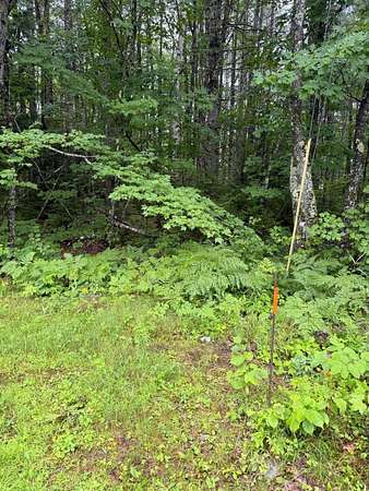 2 Acres of Residential Land for Sale in Chesterville, Maine