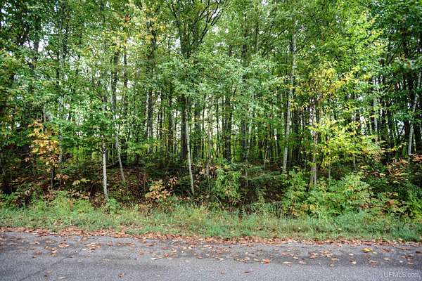 0.43 Acres of Residential Land for Sale in Wakefield, Michigan