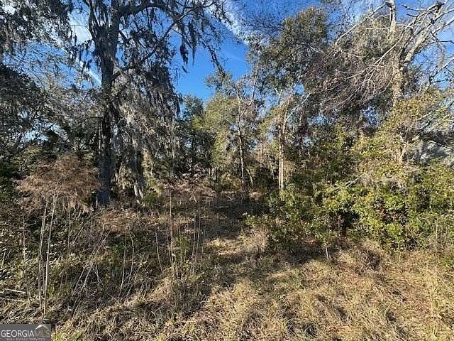 0.74 Acres of Residential Land for Sale in Waverly, Georgia