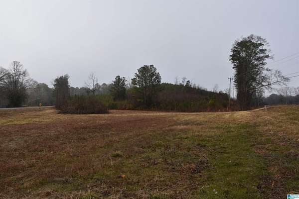 11.7 Acres of Mixed-Use Land for Sale in Talladega, Alabama