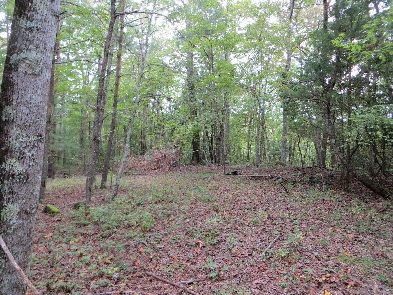 9.9 Acres of Land for Sale in Crossville, Tennessee
