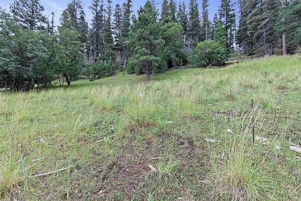 0.18 Acres of Residential Land for Sale in Cloudcroft, New Mexico