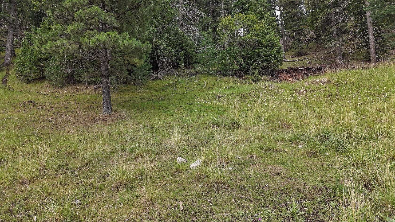 0.21 Acres of Residential Land for Sale in Cloudcroft, New Mexico