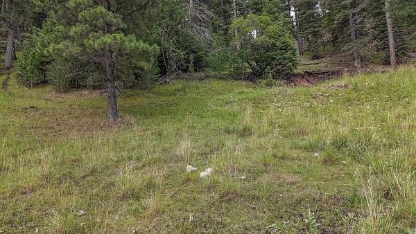 0.21 Acres of Residential Land for Sale in Cloudcroft, New Mexico