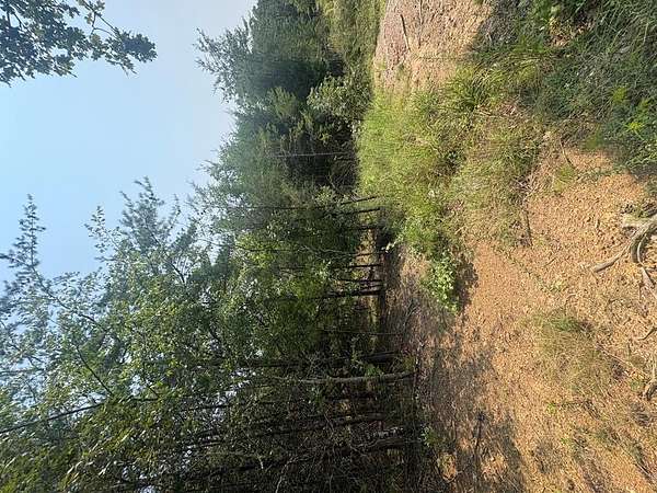 5 Acres of Land for Sale in Dawson Springs, Kentucky