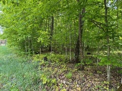 9 Acres of Residential Land for Sale in McMillan, Michigan