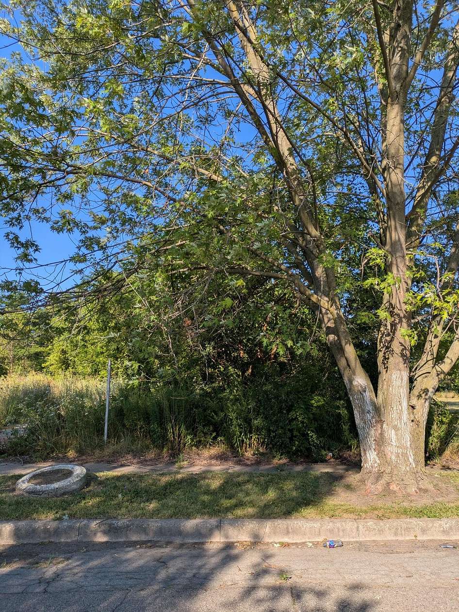 0.15 Acres of Residential Land for Sale in Detroit, Michigan