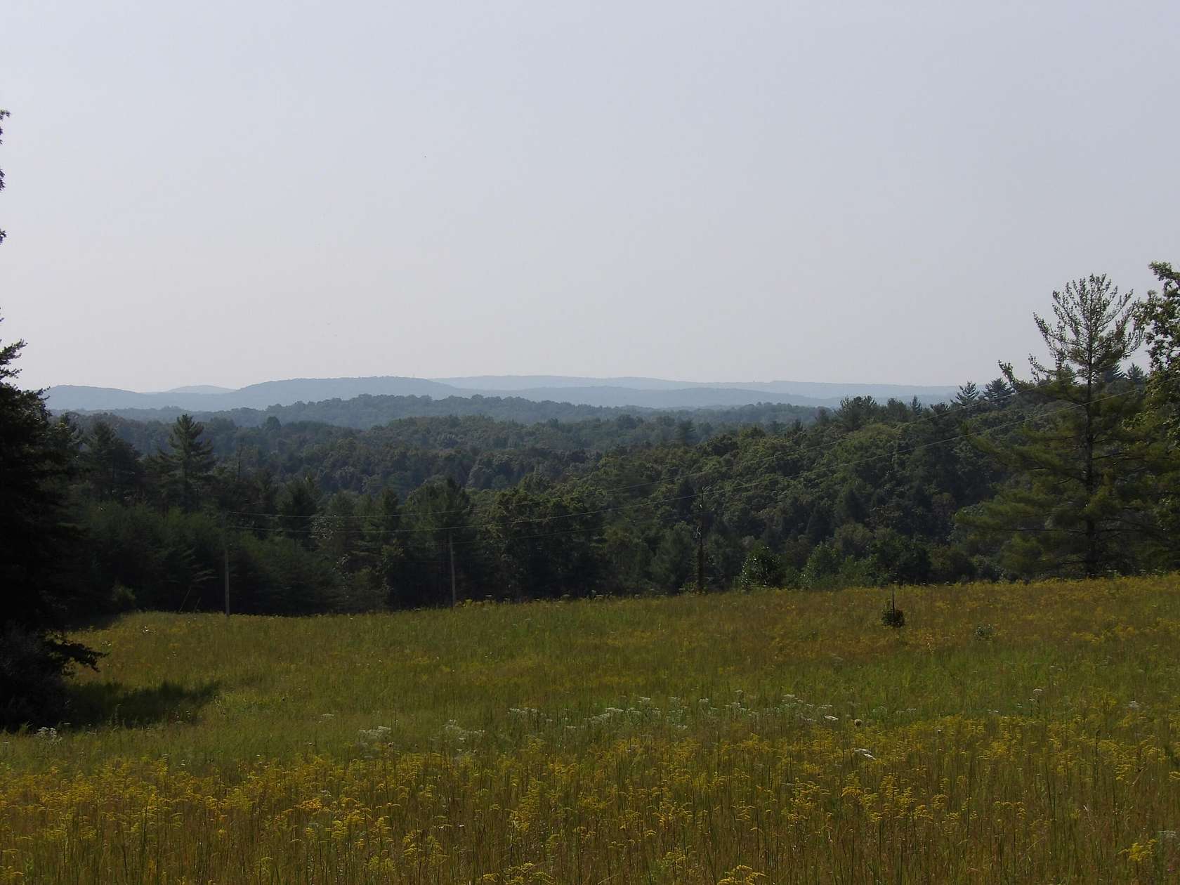 10.2 Acres of Land for Sale in Deer Lodge, Tennessee