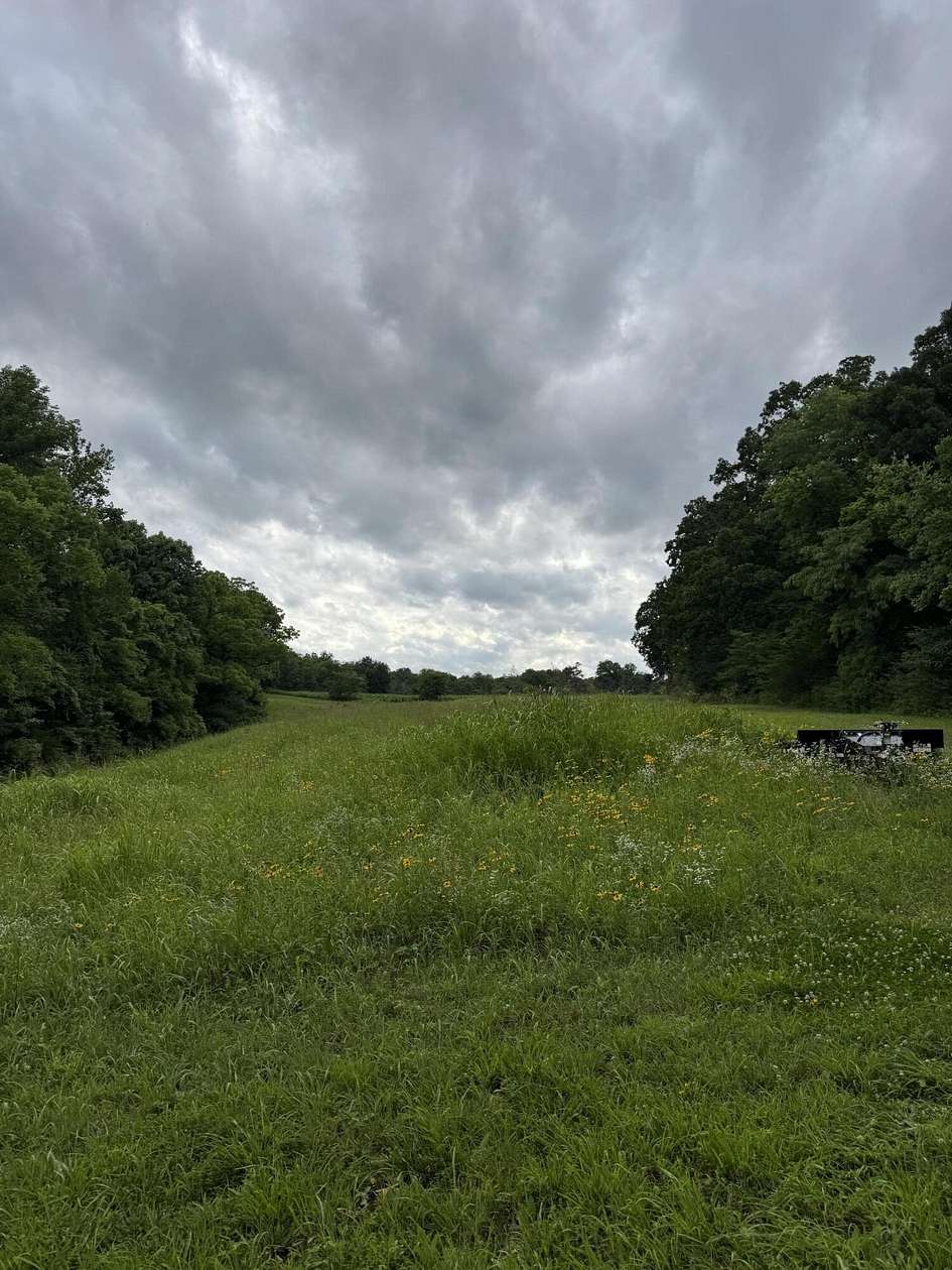 59.4 Acres of Recreational & Residential Land for Sale in Cadiz, Kentucky