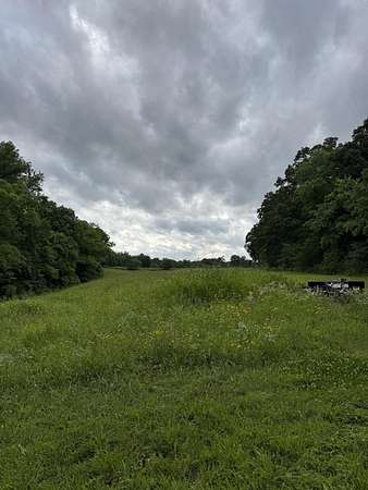 59.4 Acres of Recreational & Residential Land for Sale in Cadiz, Kentucky