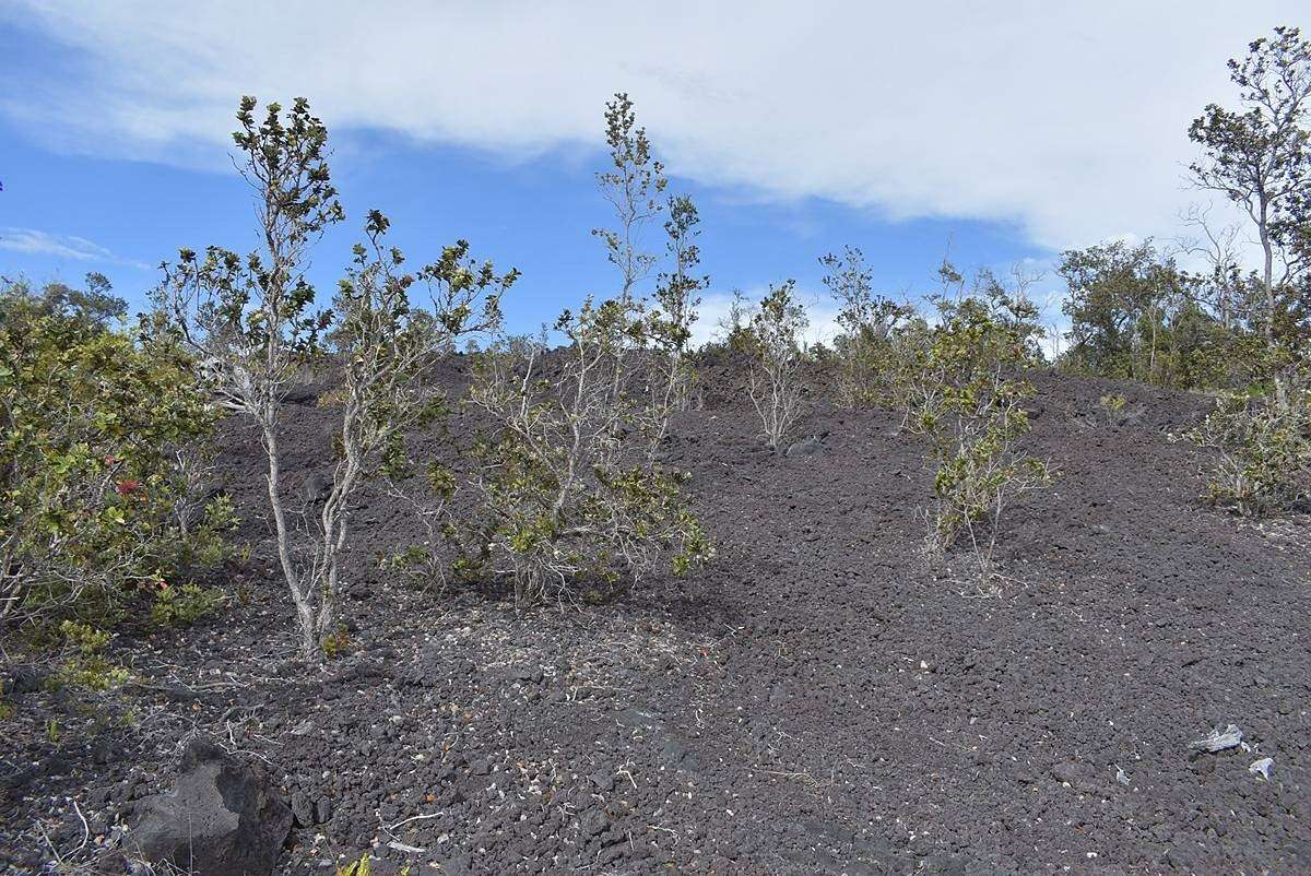 1 Acre of Land for Sale in Hawaiian Ocean View, Hawaii