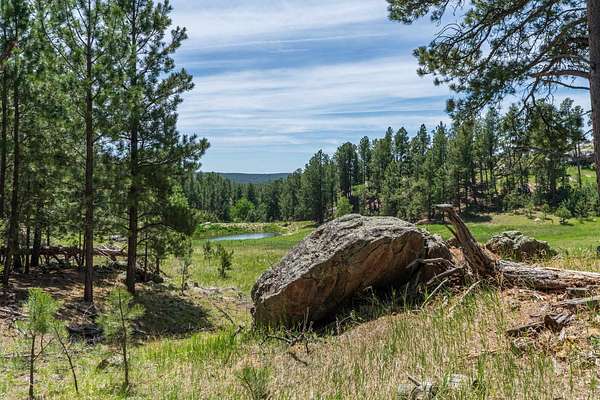 55 Acres of Recreational Land for Sale in Custer, South Dakota