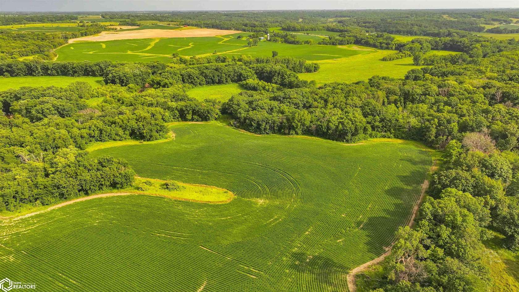51 Acres of Land for Sale in Bussey, Iowa