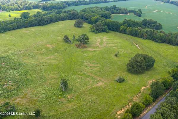80 Acres of Agricultural & Residential Land for Sale in Senatobia, Mississippi