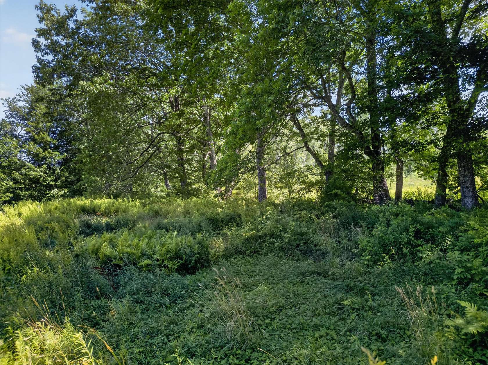 6.4 Acres of Residential Land for Sale in Chelsea, Maine