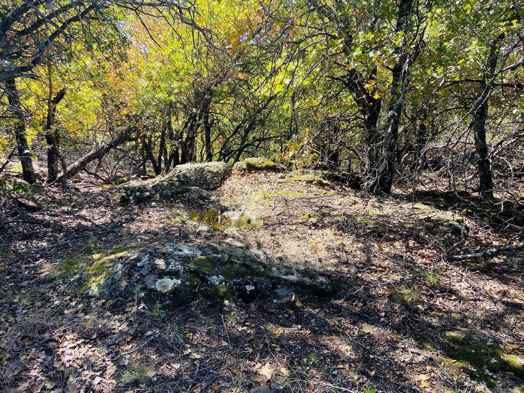 2 Acres of Residential Land for Sale in Bowie, Texas