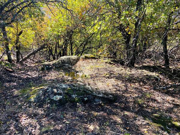 2 Acres of Residential Land for Sale in Bowie, Texas