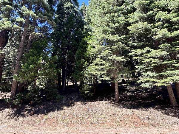 0.34 Acres of Residential Land for Sale in Lake Almanor Country Club, California