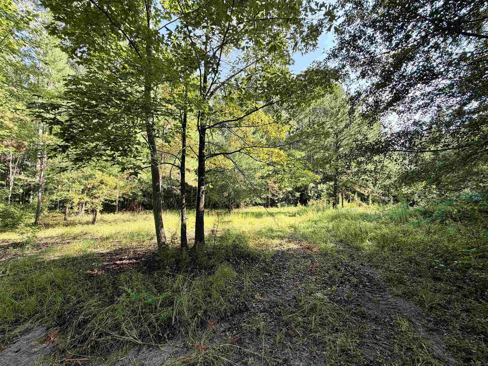 50.5 Acres of Recreational & Residential Land for Sale in New Zion, South Carolina
